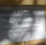 Зоозащитники обеспокоены судьбой кошек в невельском санатории - InformPskov.Ru