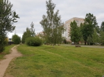 Пособачились