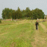SAM_7676 - Другой Псков