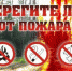 Отправляясь в лес, не забывайте о пожарной безопасности! - МЧС Псковской области