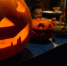 «Супер фитнес» приглашает псковичей на праздник Halloween - BusinessPskov.Ru