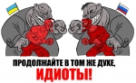 56284625