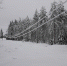 Ликвидацию последствий снегопада и гололедных образований завершают специалисты «Псковэнерго» - InformPskov.Ru