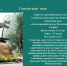 Ганзейский знак вопроса - InformPskov.Ru
