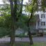 Распил и посадки - InformPskov.Ru