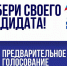 Предварительное голосование «Единой России» стартовало в Великих Луках - Единая Россия