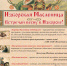 Масленичные гуляния, концерты и конкурсы пройдут в Пскове и Изборске                      - Комитет по культуре