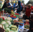 Псковские экоовощи и мясные деликатесы представят на выставке-ярмарке в Москве - InformPskov.Ru