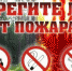 Не нарушайте требования пожарной безопасности в лесах! - МЧС Псковской области