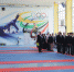 В Пскове проходит Первенство города по карате WKF «Тигр Шотокан» - Администрация г.Пскова