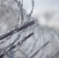 Фото Андрея Степанова - InformPskov.Ru
