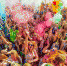 Фестиваль красок ColorFest пройдёт в Пскове 30 июня - InformPskov.Ru
