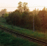 Фото Дарьи Хватковой - InformPskov.Ru