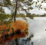 Фото Рдейского заповедника - InformPskov.Ru