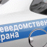 В Великих Луках сотрудники вневедомственной охраны Росгвардии задержали нетрезвого водителя - Росгвардия