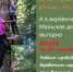 Вместе с детьми выгодно. Акция недели в верёвочном парке - BusinessPskov.Ru