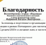 Деятельность волонтёров колледжа - Псковский агротехнический колледж