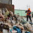 Здесь и далее фотографии Дарьи Хватковой - InformPskov.Ru