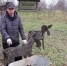 Фото: стоп-кадр с YouTube-канала «Деревенский блокнот». - InformPskov.Ru