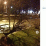 Последствия урагана на фотографиях псковичей - BusinessPskov.Ru