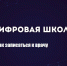 Как записаться к врачу через госуслуги - BusinessPskov.Ru