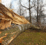 Фото Дарьи Хватковой - InformPskov.Ru