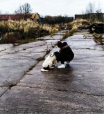 Помощь животным