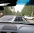 Россияне рассказали, какие средства держат для самообороны в автомобилях - BusinessPskov.Ru