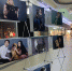 Выставка фотографий бездомных животных проходит в Пскове - BusinessPskov.Ru