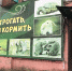 После публикации ЦДИ  проводится проверка передвижной выставки  кошек в Пскове - BusinessPskov.Ru
