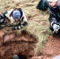 Фото: поисковый отряд «Тихие зори» - InformPskov.Ru