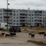 Фото автора обращения на сайте губернатор60.рф - InformPskov.Ru