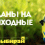 Куда сходить с детьми - афиша - BusinessPskov.Ru