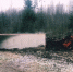 Фото: Невские новости - InformPskov.Ru