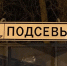 Фото: ПАИ - InformPskov.Ru
