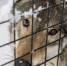 Фото Дарьи Хватковой. - InformPskov.Ru