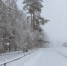 Фото Дарьи Хватковой - InformPskov.Ru