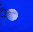 Фото EAOMedia - InformPskov.Ru