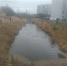 Мосты через ручей на улицах Алехина и Снятной в Пскове приведут в порядок - InformPskov.Ru