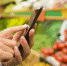 Торговые сети начнут продавать продукты онлайн - BusinessPskov.Ru