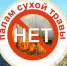 Палы травы несут опасность - МЧС Псковской области
