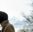 В ночь на 3 апреля в Псковском регионе прогнозируют усиление ветра - Pln-Pskov.Ru