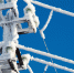 О неблагоприятном природном явлении предупреждают псковичей - Pln-Pskov.Ru