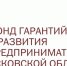 Псковские власти докапитализируют Фонд гарантий и развития предпринимательства под выдачу льготных займов - Pln-Pskov.Ru