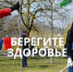 Проведение всероссийской акции «Сад памяти» предварительно перенесено на конец мая - BusinessPskov.Ru