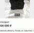 Пскович продает метеорит за 2,5 млн рублей - Pln-Pskov.Ru