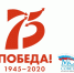 Молодежный совет Псковского района проводит видео-флешмоб «Это наша Победа! Это наши герои!» - Информационный туристский центр