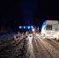 Водитель «Форда» сбил лося на дороге Псков - Гдов - Pln-Pskov.Ru