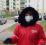 С 26 марта в ежедневном режиме волонтеры Псковского района помогают людям и выполняют их заявки по доставке жизненно важных товаров - Псковский район