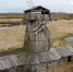 Фото: Гарри Невельский - InformPskov.Ru